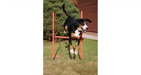 Dog Trainer agility překážky pro psy - 2