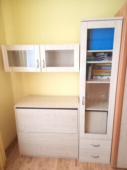skříň a knihovna - 2
