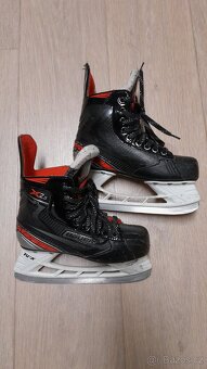 Brusle Bauer Vapor X 2,5 vel.36 - 2