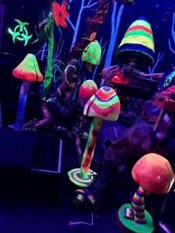 UV aktivní dřevěné houby - 2