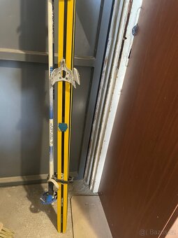 Set běžky Artis Supreme + hůlky - 2