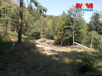 Prodej stavebního pozemku, 3955 m², Pstruží - 2