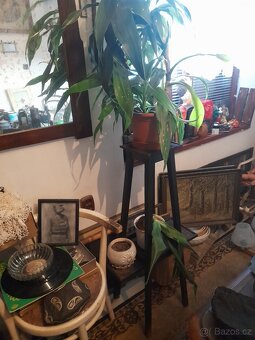 Starožitný stolek k kytkám - 2