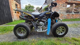 Čtyřkolka ATV LYDA 203e 250ccm - 2