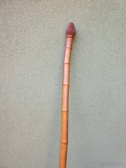 Turistická hůl - 2