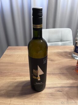 ALKOHOL ZE SVATBY - 2