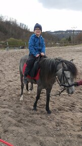 Klisna pony - 2