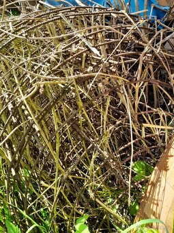 Betonářská kari síť, svařovaná - 2