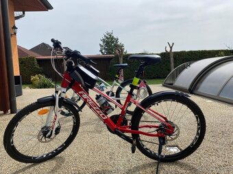 Horská kola Arezzo 24" - 2