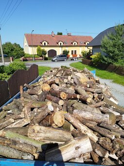 Dřevo mix - 2