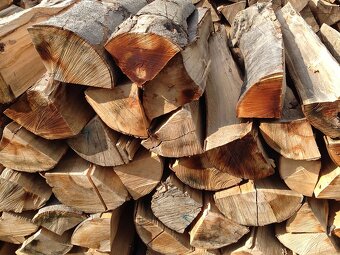 Palivové dřevo tvrdé - 2