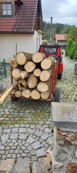 Vozík na dřevo bez TP - 2