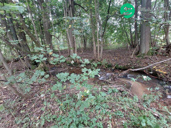 Pozemek Dolní Orlice - 2