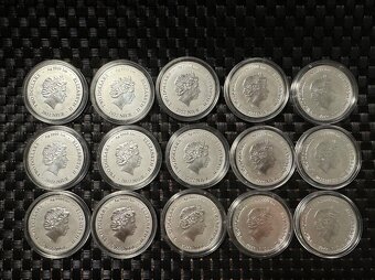 15 x Stříbrná investiční mince B T C 1 oz - 2