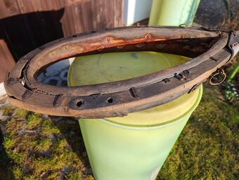 Koňský chomout - 2