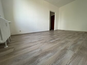 Pronájem, byt, 1+1, 33 m², Březinova, Jihlava - 2