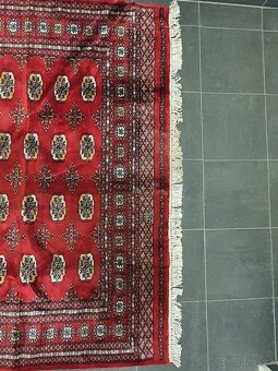 orientální koberec Buchara 270x170cm, peršan - 2