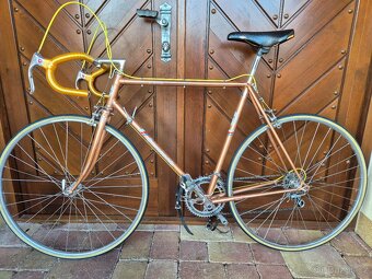 Favorit Special 1983 - 2