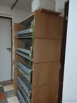 Klece pro křepelky - 2