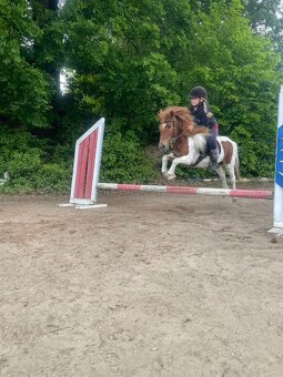Pony kobylka - 2