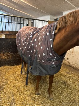 Deka výběhová 135cm Stars HKM, s vyšším krkem, 300 g - 2