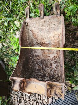 Hladká lopata, zubatá unc, locust - 2