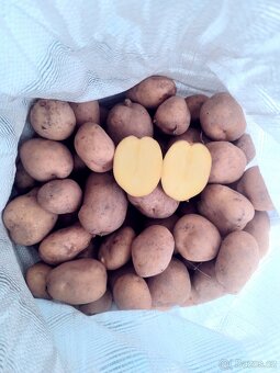 Brambory Adéla 🥔🥔 - 2