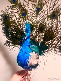 Dekorace páv s pravými pery goodwill - 2