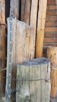 Dřevěné polokmeny masiv - 2