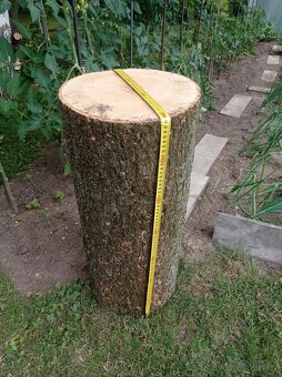 Štípací špalek jasanový - 2