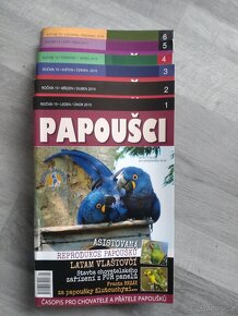 Papoušci - 2