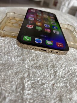 IPhone 13 pro max 1TB - 2