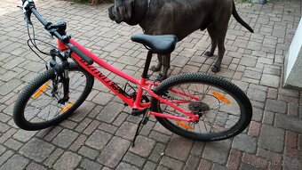 Dětské kolo specialized hot rock - 2
