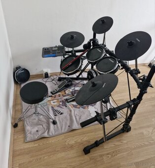 Alesis dm10 - 2