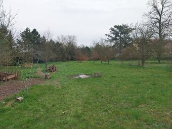 Prodej zahrady - 2