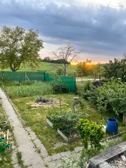 Prodej zahrady s chatkou, CP 284m2, obec Hrušovany u Brna - 2