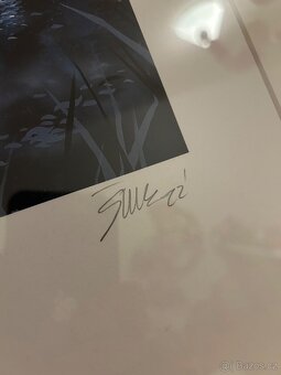 ERIK ŠILLE AMETHYST DECEIVERS Edícia 50 ks (19/50) - 2