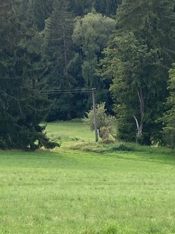 pozemek 13.593m² orná půda - 2