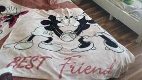 2x deka Mickey a Minnie a 2x polštářky pejsci a kočička - 2