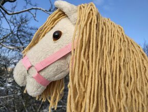 Hobby horse - 2