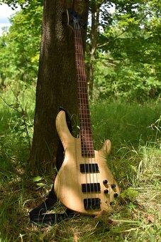 Baskytara+case - 2
