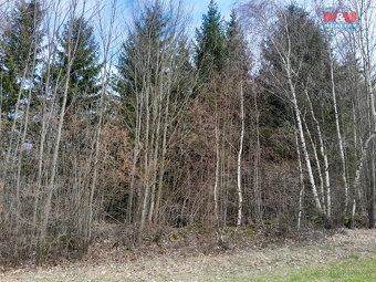 Prodej lesa, 5083 m², Zálezly - Setěchovice - 2