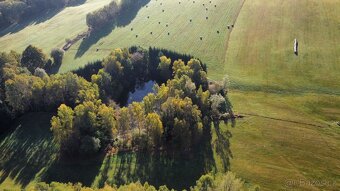 Prodej rybníku s pozemky, Klení, Benešov nad Černou - 2