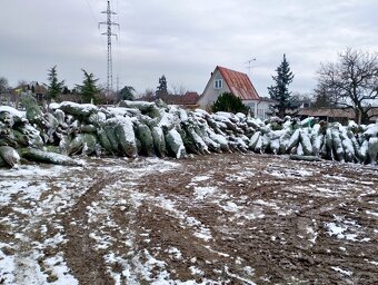 Vánoční stromky - 2