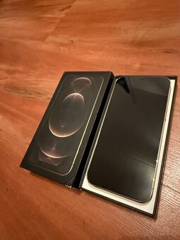 iPhone 12 ProMax - 2