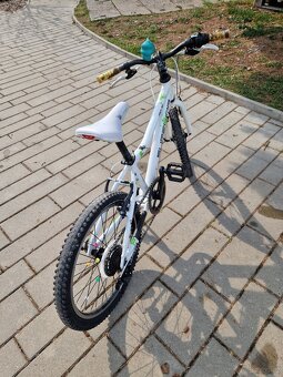 dětské kolo superior paint 20" - 2