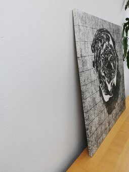 Výtvarná fotografie Ladislava Fišera - 2