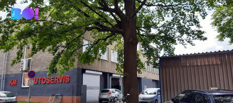 Kancelářské a skladovací prostory 17m2 až 129m2 Ostrava-Vít - 2