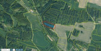 Prodáme lesní pozemek v k.ú. Třebohostice, p.č. 2133 - 2