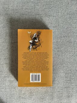 Conan A zrodí se čarodějka-Robert Ervin Howard, Kája Saudek - 2